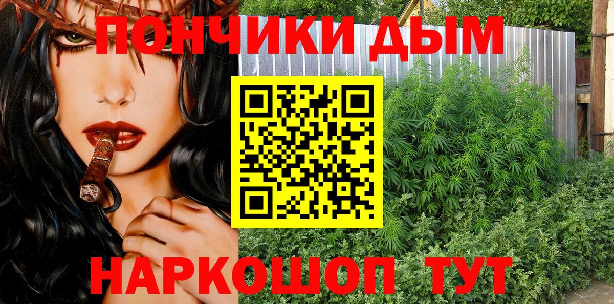 Шишки марихуана семена  Вход с VPN  Кудымкар  Бошки Шишки план  МАРИХУАНА MAZAR 